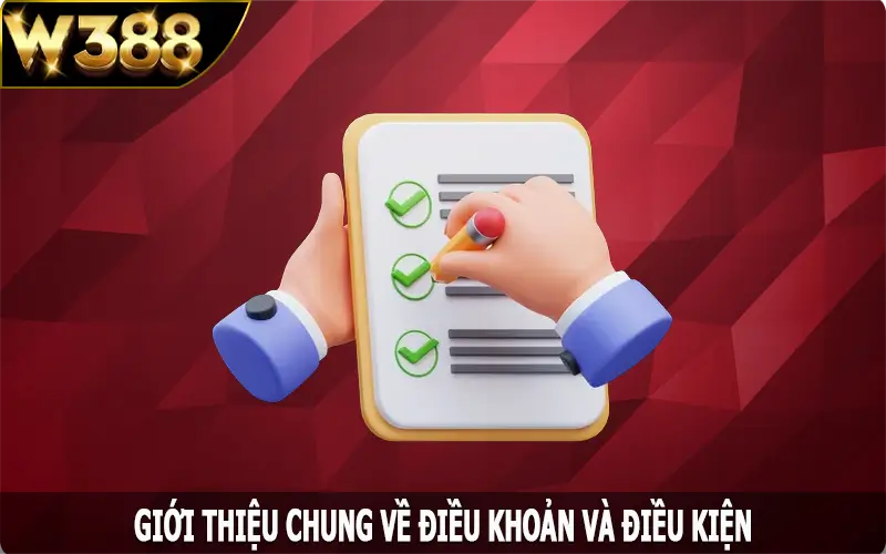 Giới thiệu chung về điều khoản và điều kiện W388