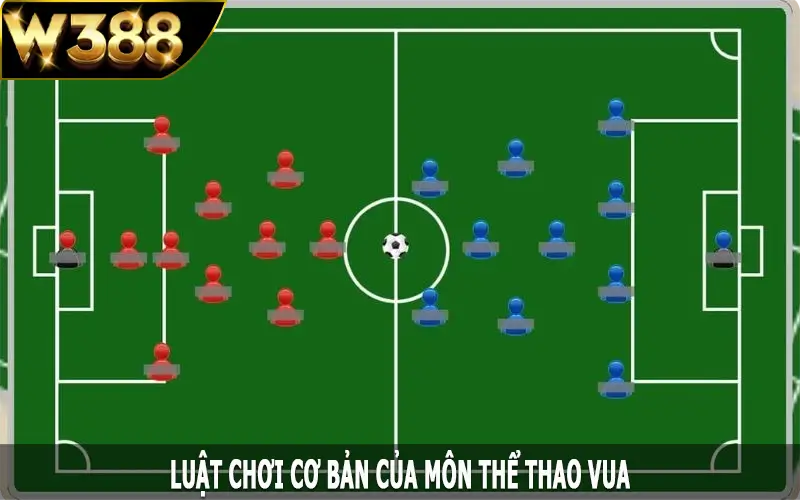 Luật chơi cơ bản của môn thể thao vua