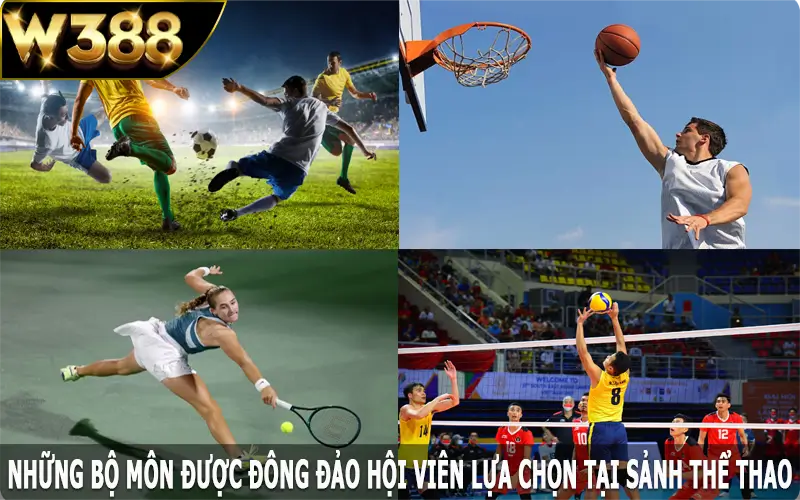 Những bộ môn được đông đảo hội viên lựa chọn tại sảnh thể thao