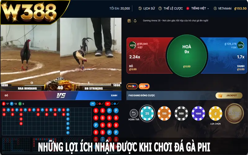 Những lợi ích nhận được khi chơi đá gà phi tại W388